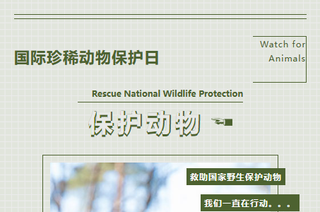 與動(dòng)物和諧相處，共同構(gòu)建和諧社會(huì)。